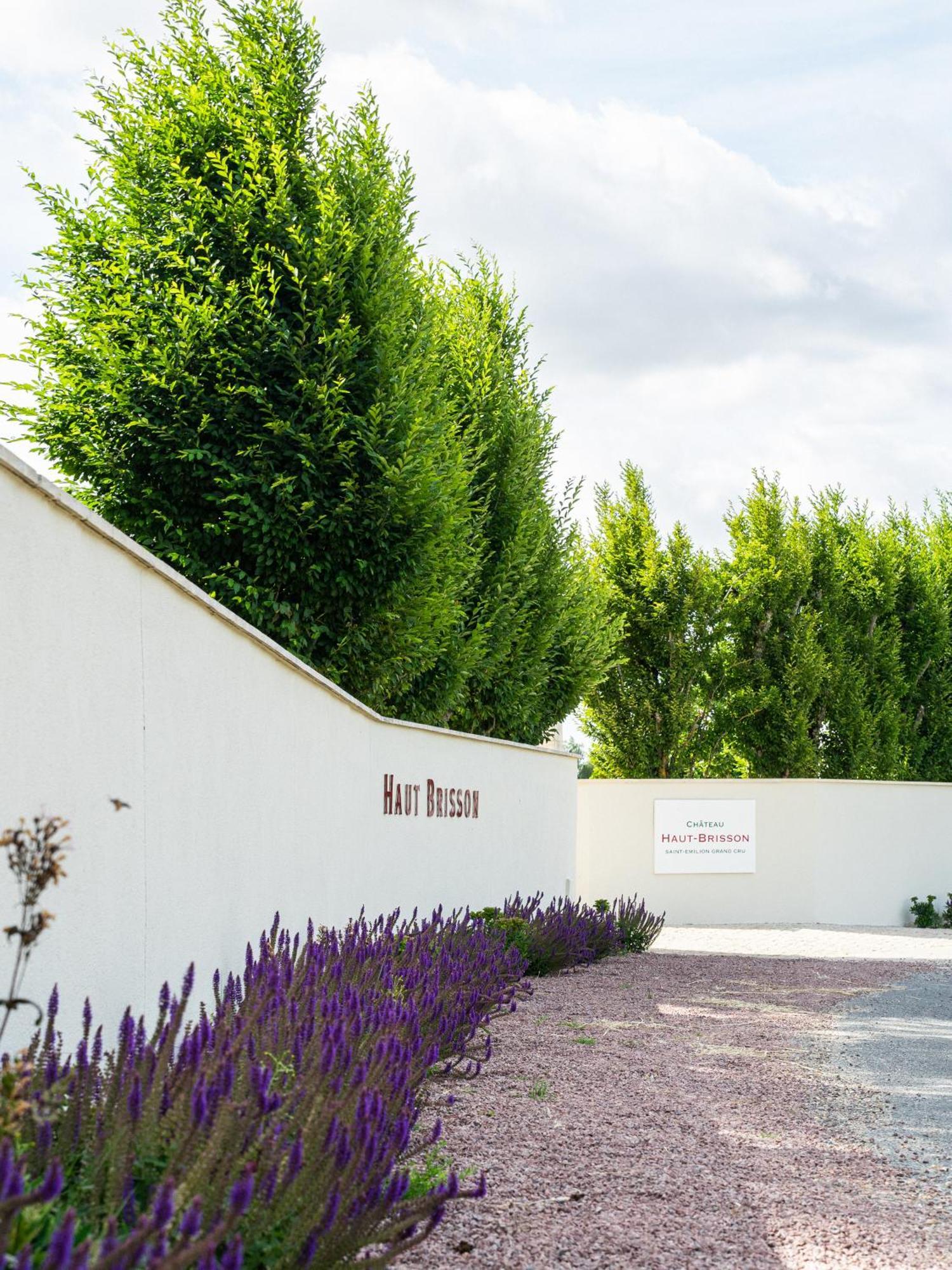 Chateau Haut-Brisson Vignonet ภายนอก รูปภาพ